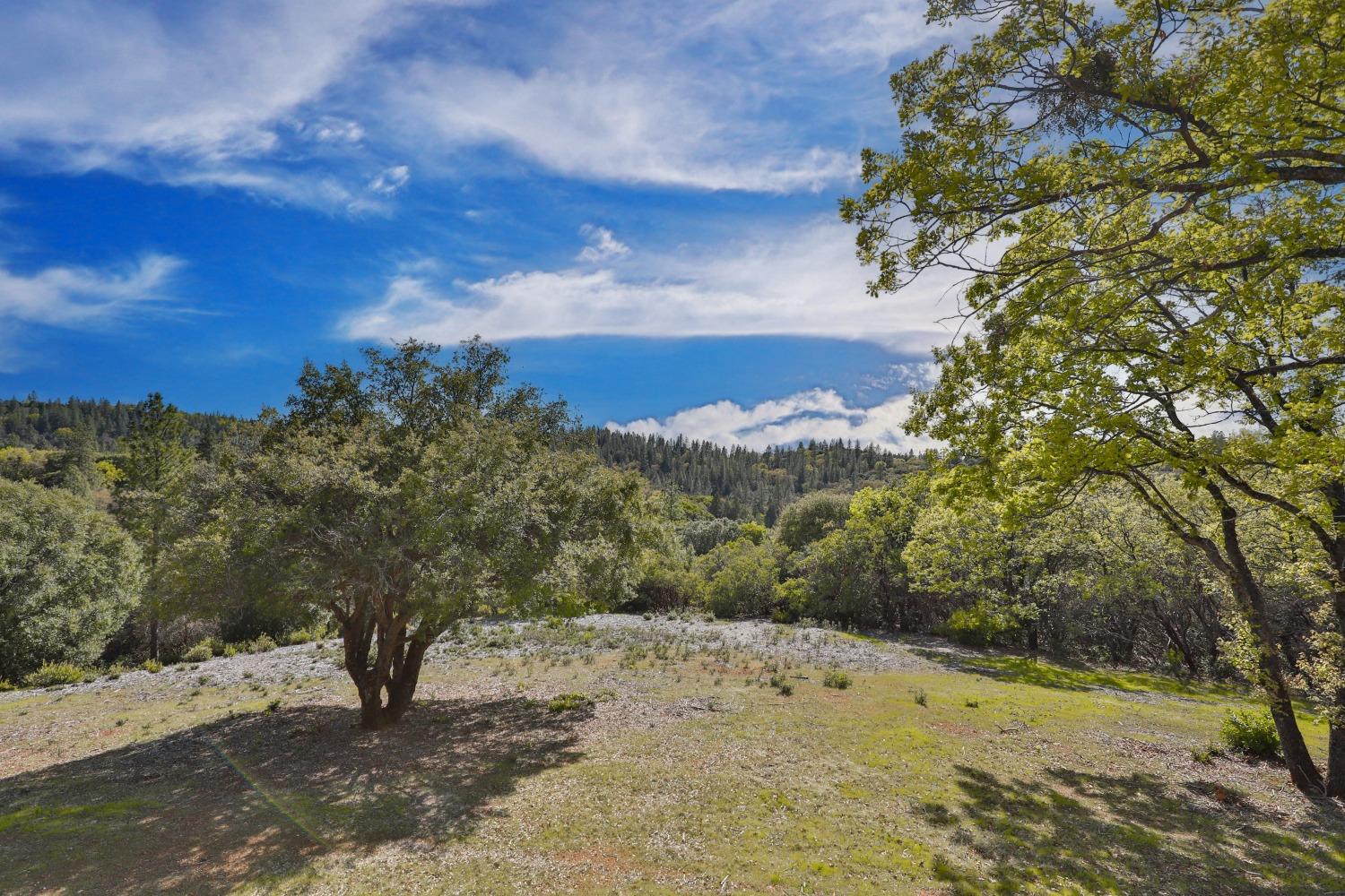 Detail Gallery Image 51 of 77 For 14753 Sandar Rd, Pine Grove,  CA 95665 - 3 Beds | 3 Baths