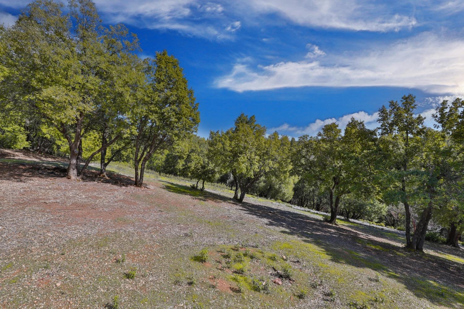 Detail Gallery Image 54 of 77 For 14753 Sandar Rd, Pine Grove,  CA 95665 - 3 Beds | 3 Baths