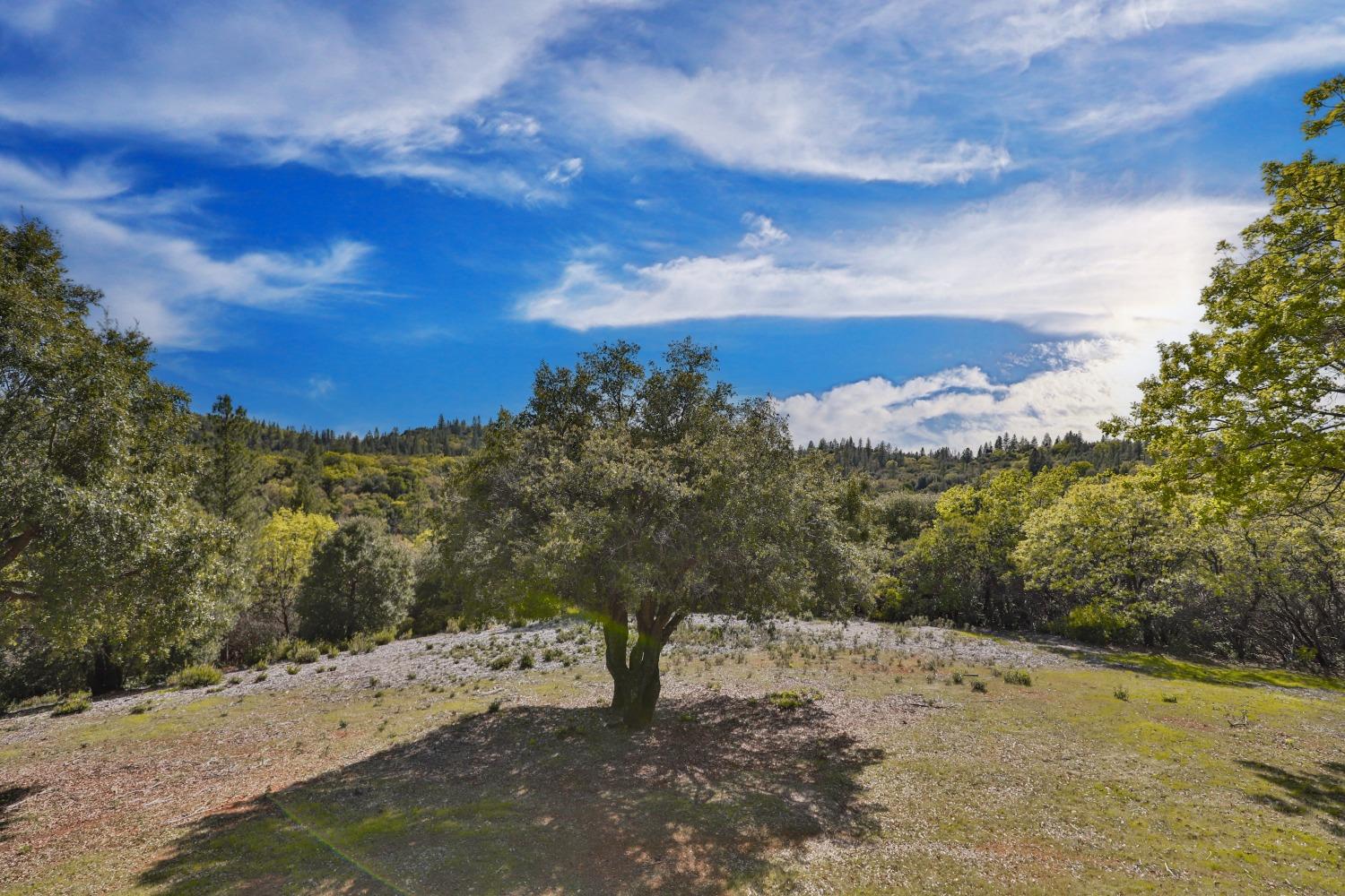 Detail Gallery Image 53 of 77 For 14753 Sandar Rd, Pine Grove,  CA 95665 - 3 Beds | 3 Baths