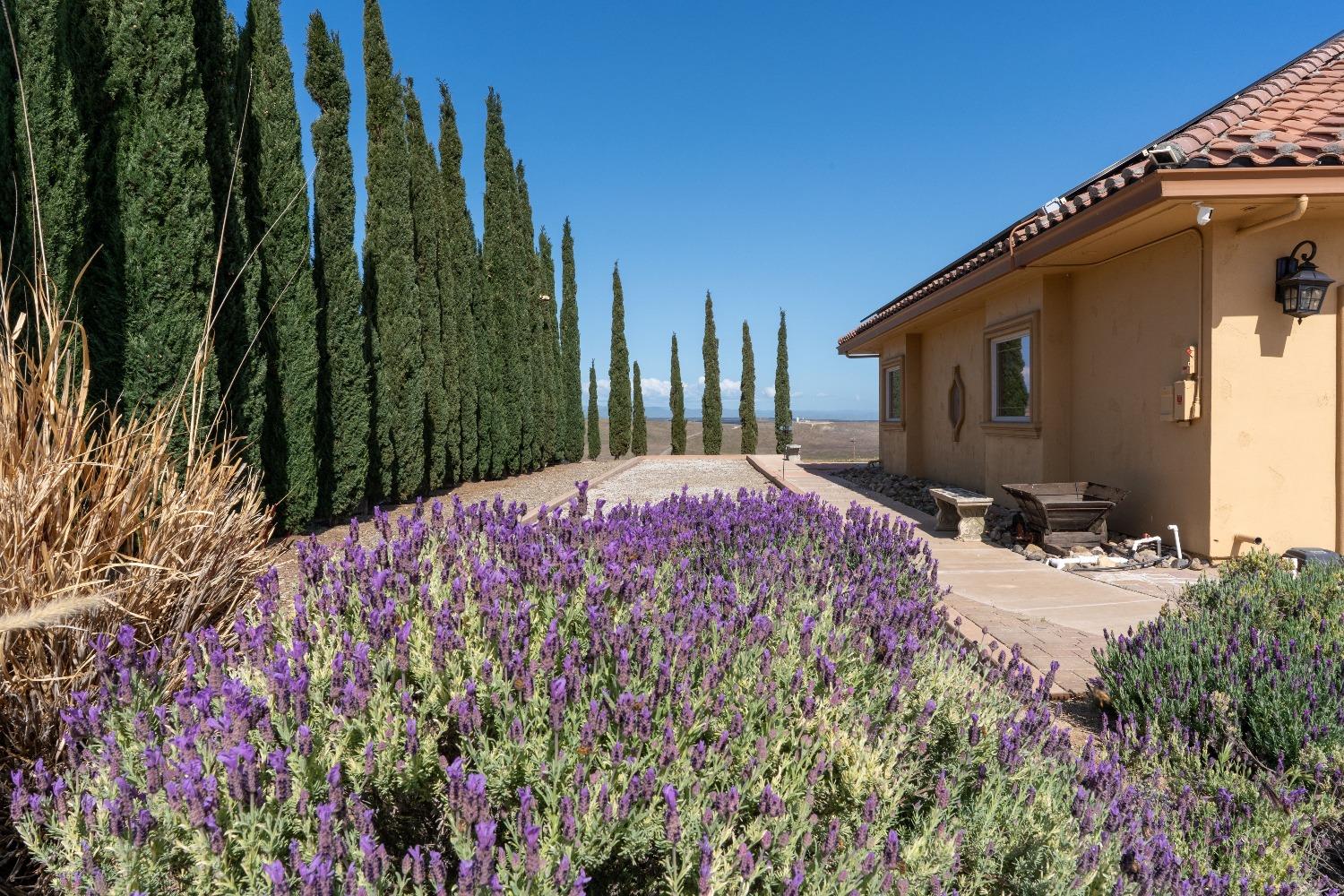 Detail Gallery Image 11 of 99 For 20711 Canyon Rd, Los Banos,  CA 93635 - 4 Beds | 3/1 Baths