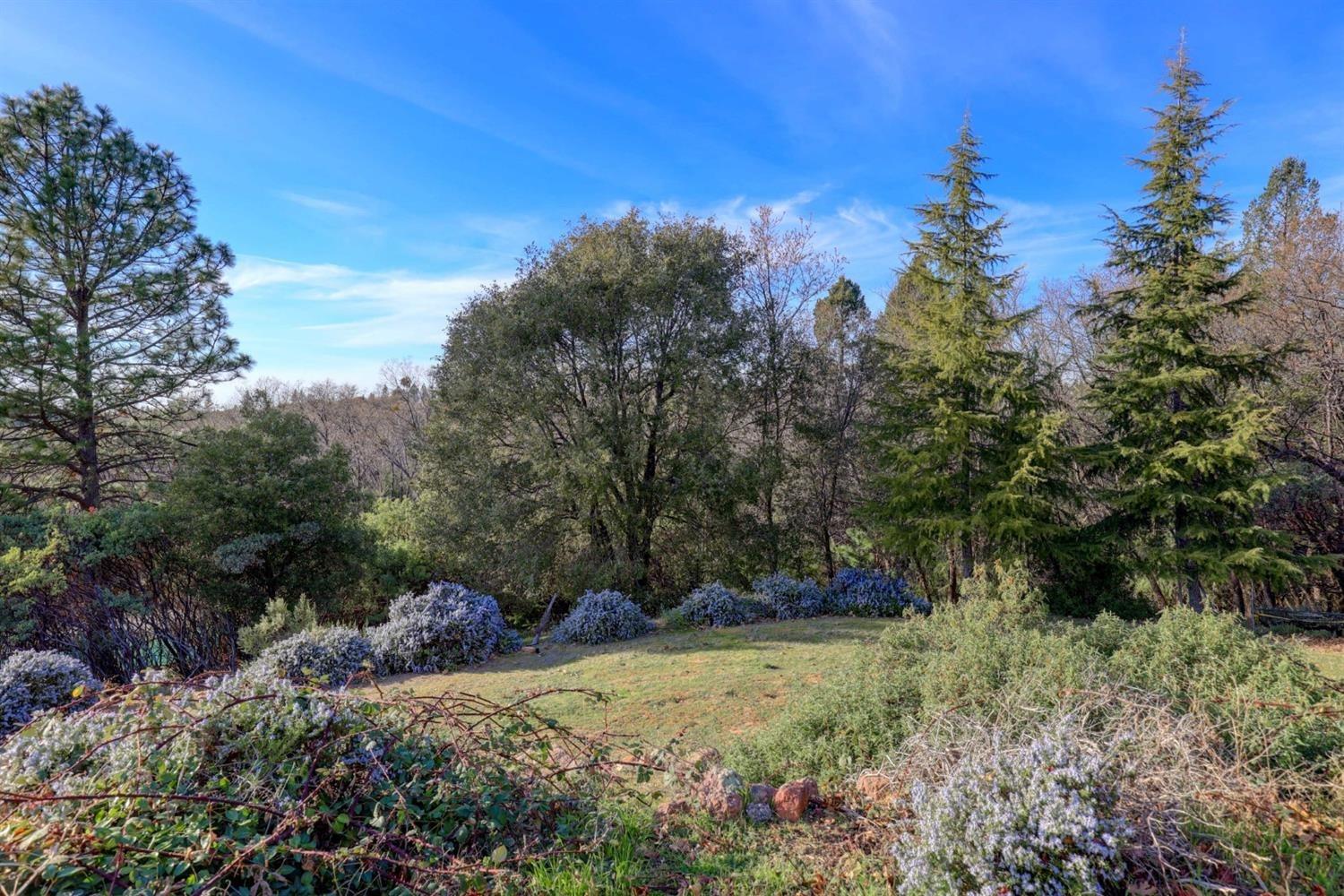 Detail Gallery Image 77 of 78 For 1300 Sierra Oak Ln, Colfax,  CA 95713 - 4 Beds | 3/1 Baths