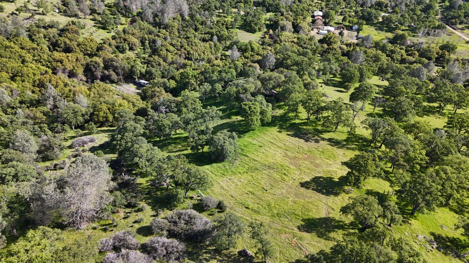 Eldore Road, Smartsville, California image 15