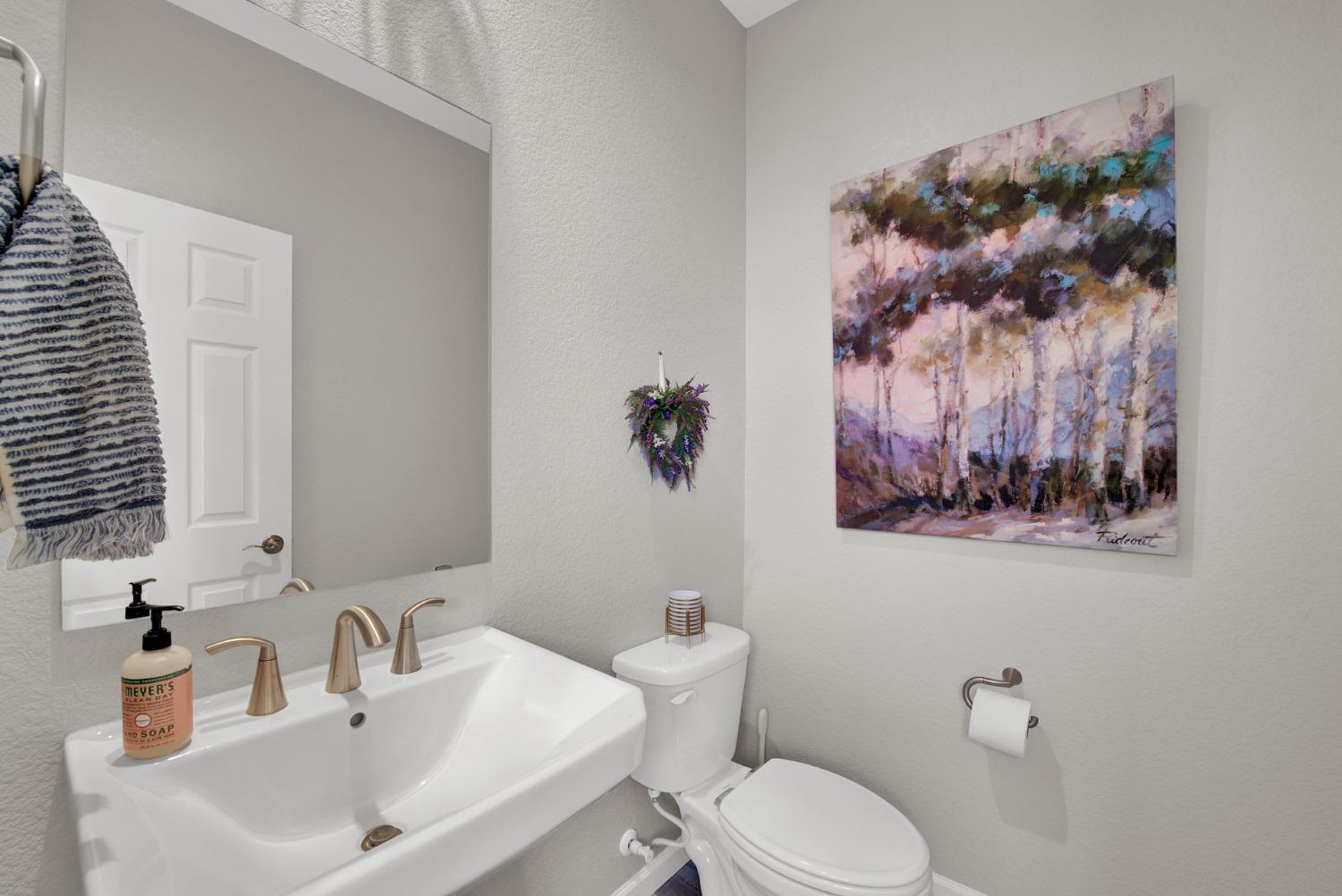 Detail Gallery Image 39 of 93 For 947 Wyatt Ln, Winters,  CA 95694 - 4 Beds | 3/1 Baths