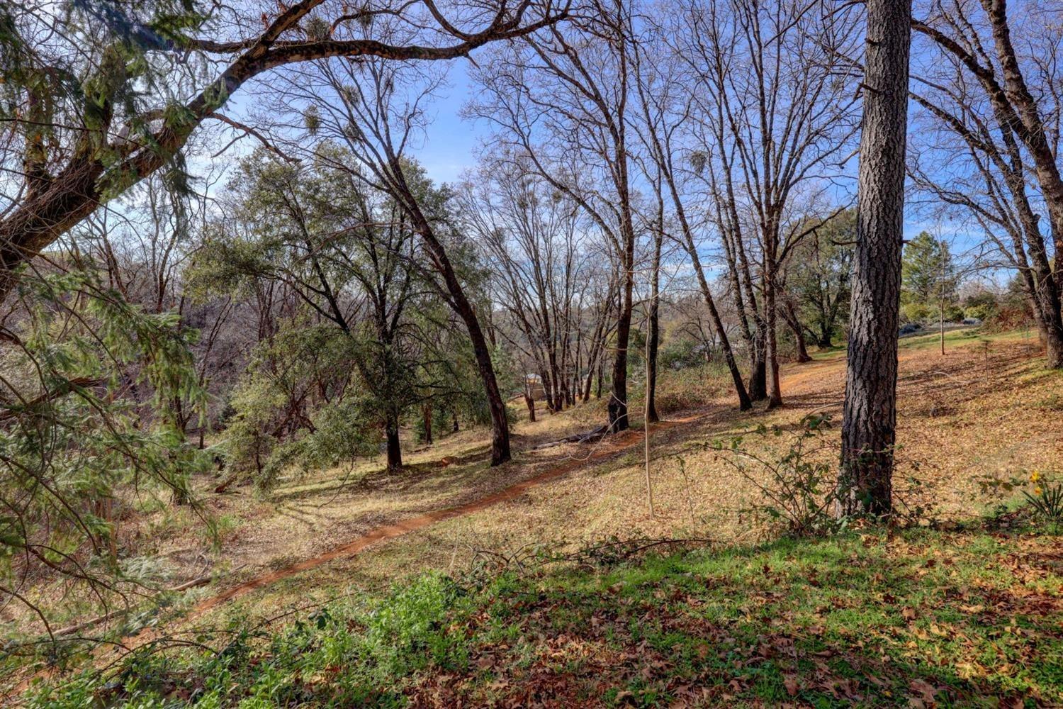 Detail Gallery Image 71 of 78 For 1300 Sierra Oak Ln, Colfax,  CA 95713 - 4 Beds | 3/1 Baths