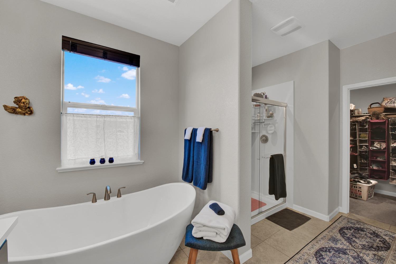 Detail Gallery Image 65 of 93 For 947 Wyatt Ln, Winters,  CA 95694 - 4 Beds | 3/1 Baths