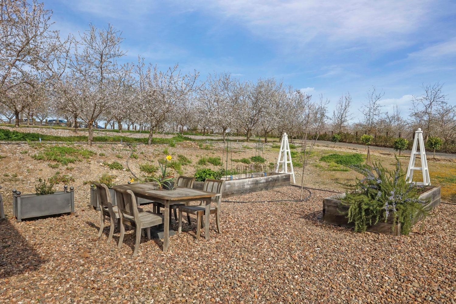 Detail Gallery Image 53 of 99 For 10031 Frankenheimer Rd, Oakdale,  CA 95361 - – Beds | – Baths
