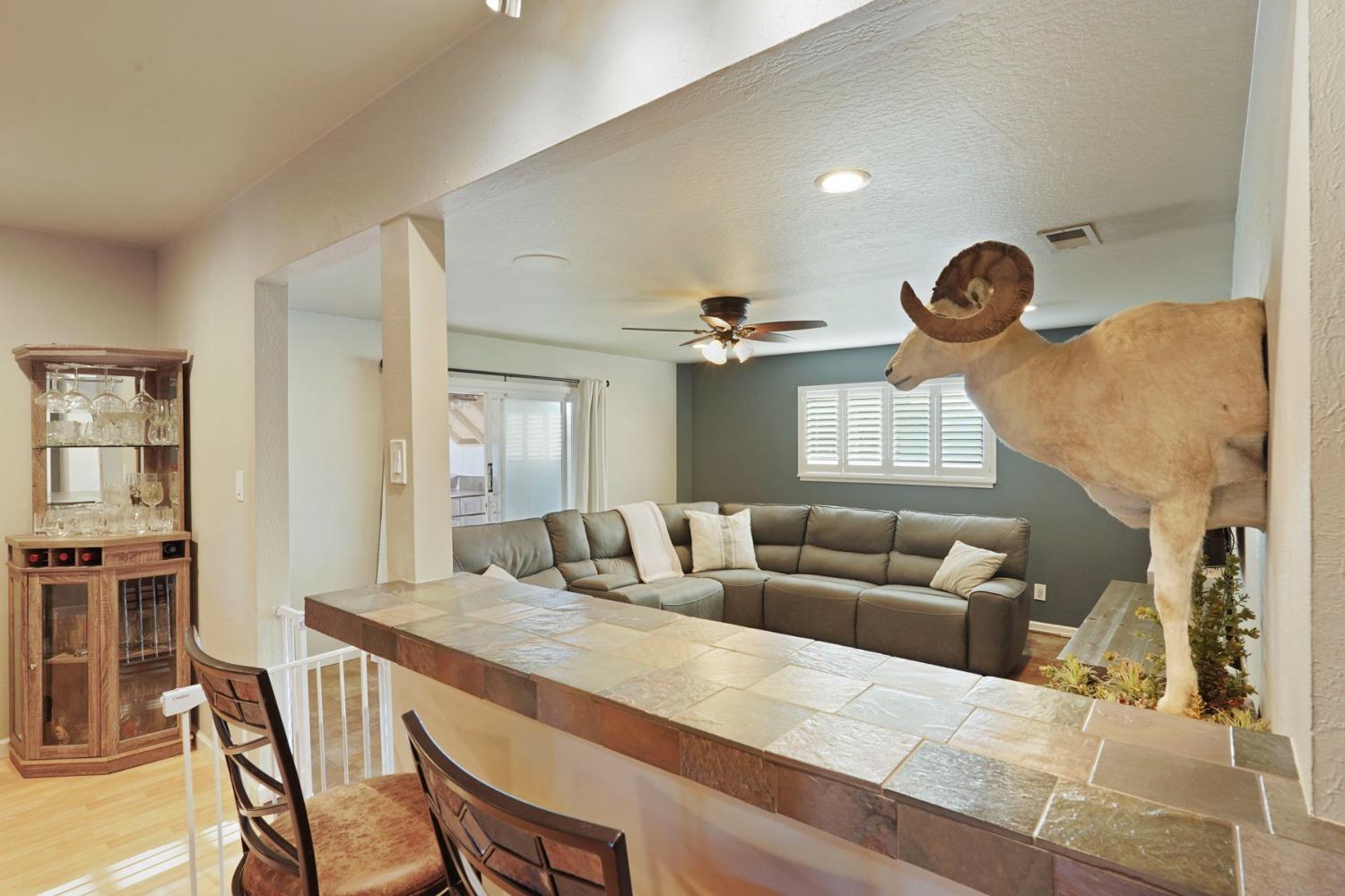Detail Gallery Image 15 of 45 For 1133 S Orange Ave, Lodi,  CA 95240 - 3 Beds | 2 Baths