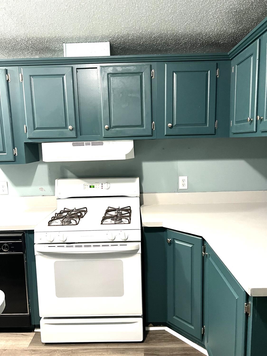 Detail Gallery Image 22 of 23 For 289 N Mercury St, Santa Nella,  CA 95322 - 3 Beds | 2 Baths