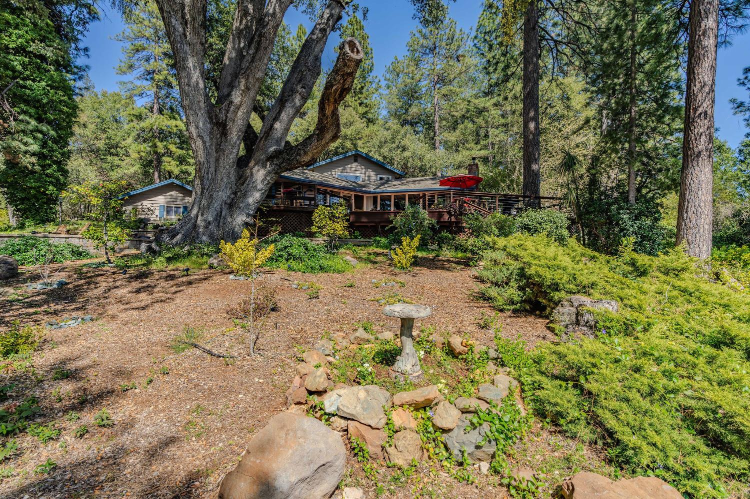 Detail Gallery Image 74 of 78 For 19630 Charleston Road, Volcano,  CA 95689 - 3 Beds | 3/1 Baths