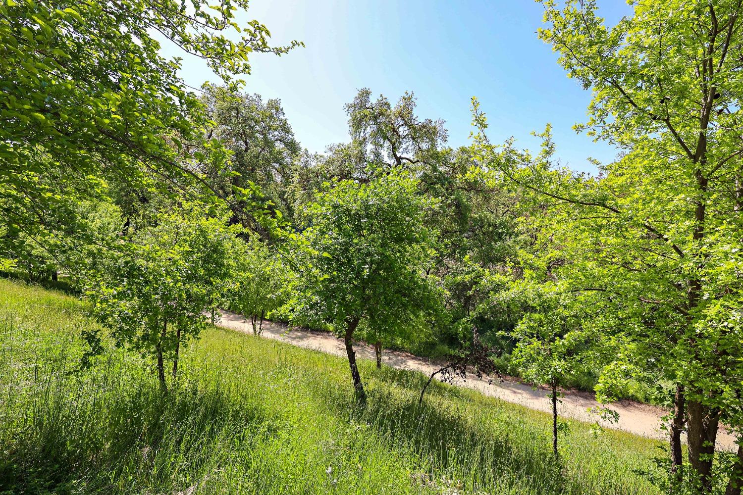 Detail Gallery Image 57 of 71 For 13318 Rivercrest Dr, Waterford,  CA 95386 - 4 Beds | 2/1 Baths