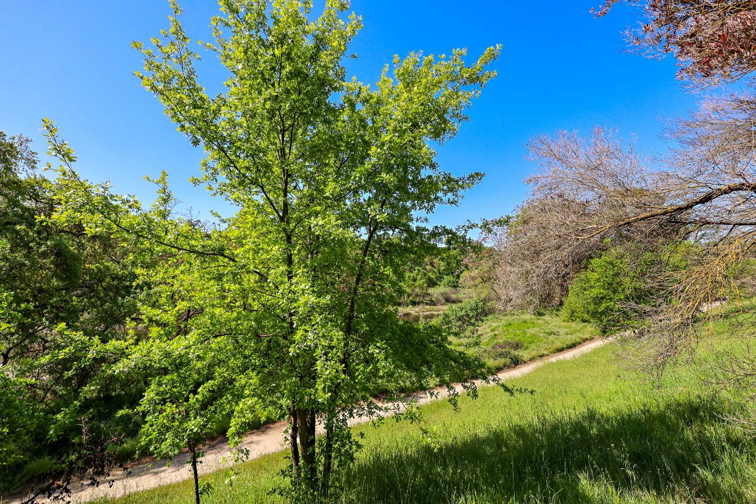 Detail Gallery Image 58 of 71 For 13318 Rivercrest Dr, Waterford,  CA 95386 - 4 Beds | 2/1 Baths