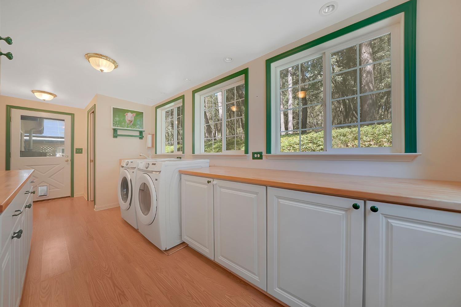 Detail Gallery Image 46 of 78 For 19630 Charleston Road, Volcano,  CA 95689 - 3 Beds | 3/1 Baths