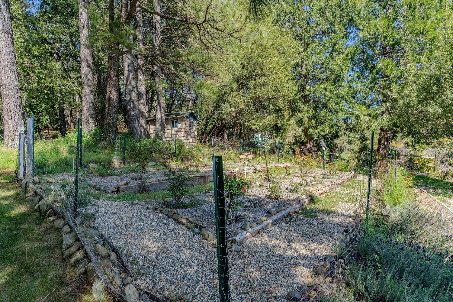 Detail Gallery Image 77 of 78 For 19630 Charleston Road, Volcano,  CA 95689 - 3 Beds | 3/1 Baths