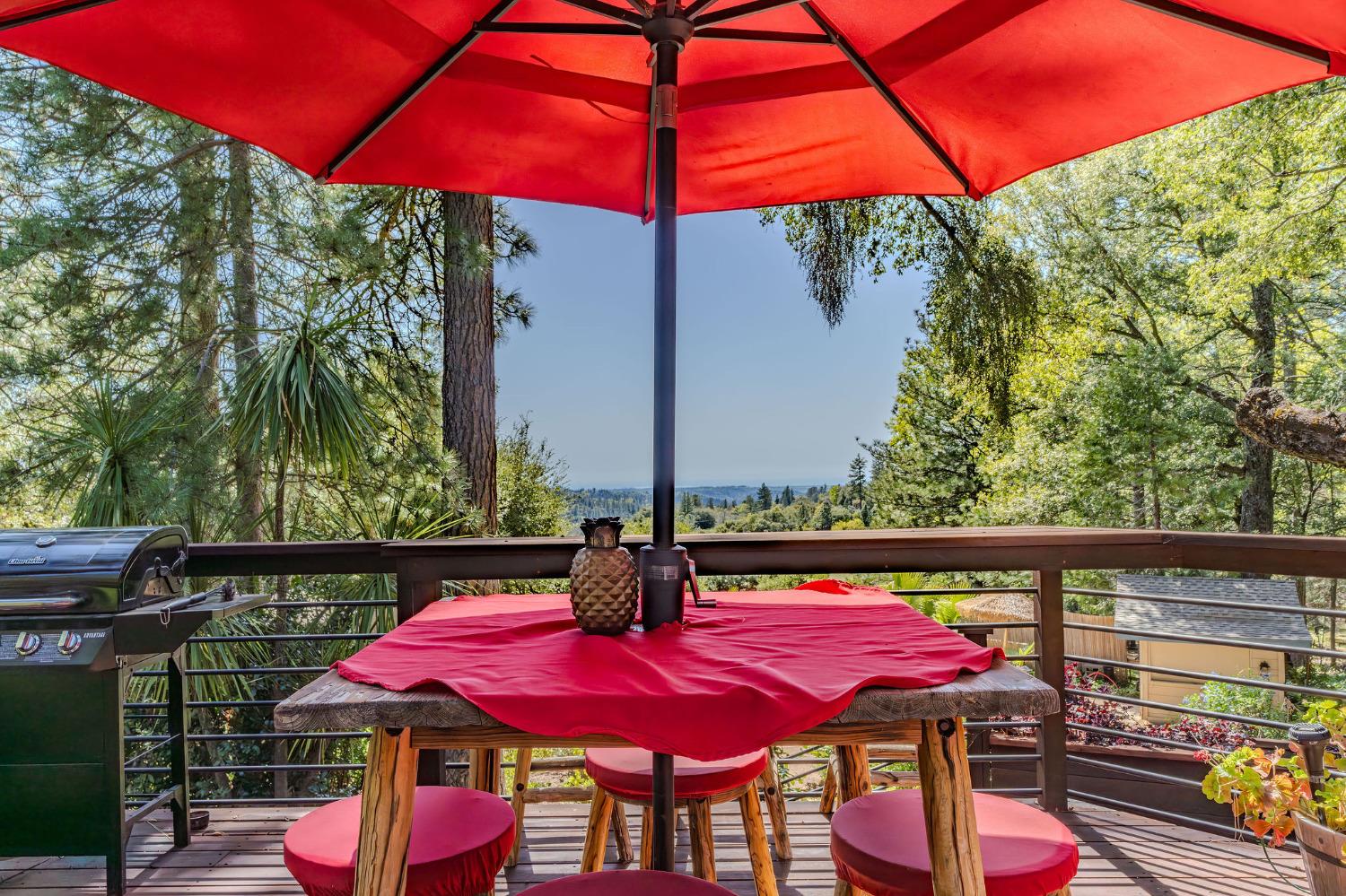 Detail Gallery Image 7 of 78 For 19630 Charleston Road, Volcano,  CA 95689 - 3 Beds | 3/1 Baths