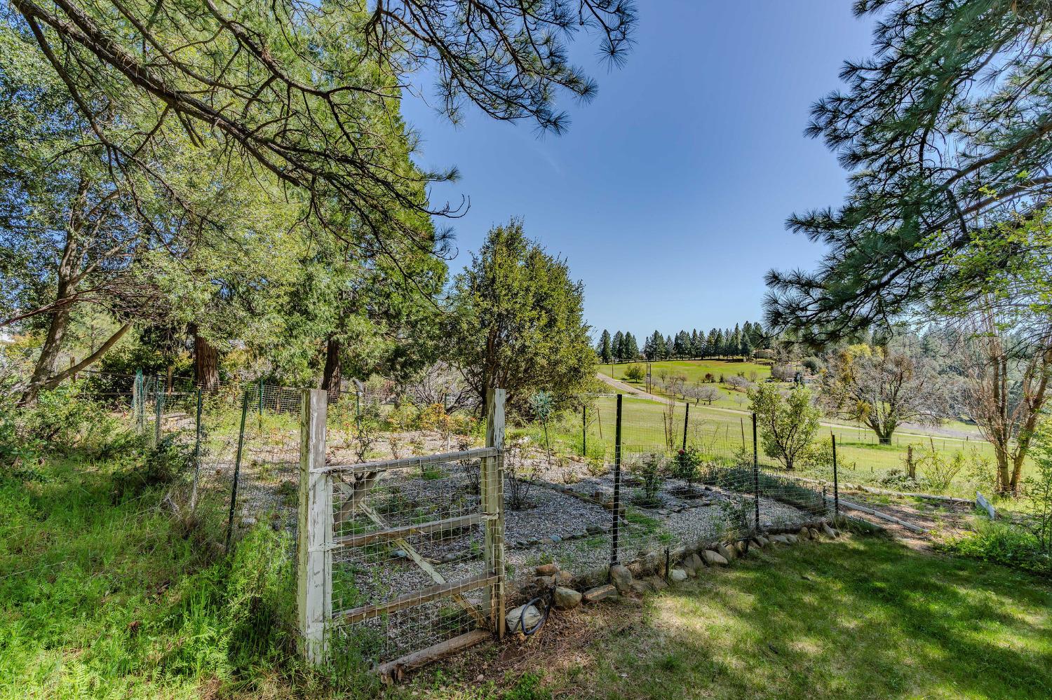 Detail Gallery Image 76 of 78 For 19630 Charleston Road, Volcano,  CA 95689 - 3 Beds | 3/1 Baths