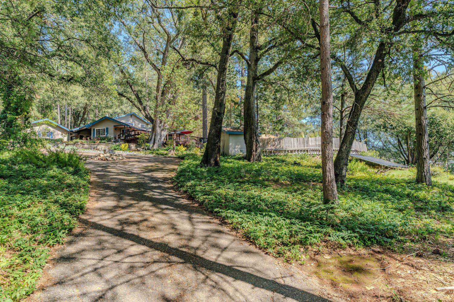 Detail Gallery Image 68 of 78 For 19630 Charleston Road, Volcano,  CA 95689 - 3 Beds | 3/1 Baths