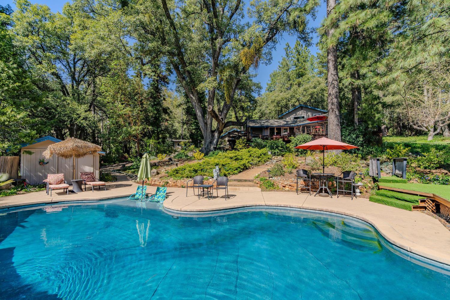 Detail Gallery Image 3 of 78 For 19630 Charleston Road, Volcano,  CA 95689 - 3 Beds | 3/1 Baths