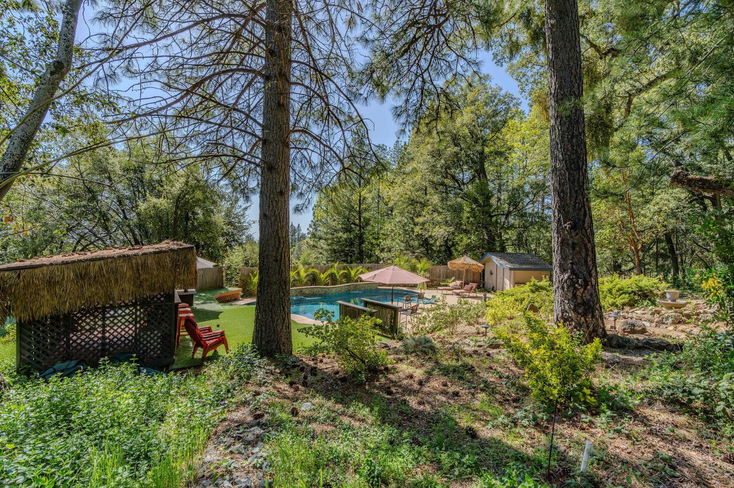 Detail Gallery Image 15 of 78 For 19630 Charleston Road, Volcano,  CA 95689 - 3 Beds | 3/1 Baths