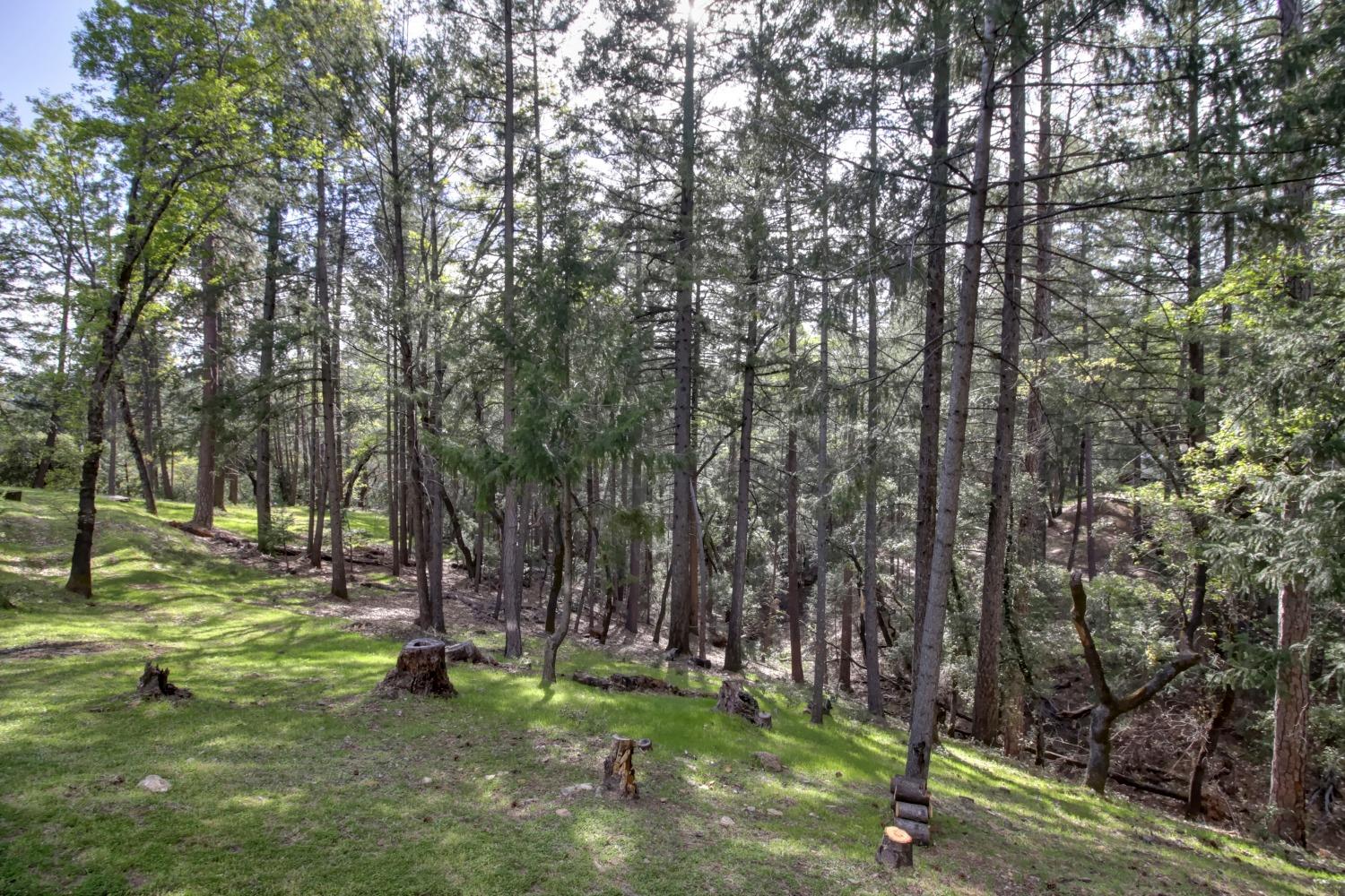Detail Gallery Image 54 of 57 For 6222 Green Ridge Dr, Foresthill,  CA 95631 - 4 Beds | 3/1 Baths