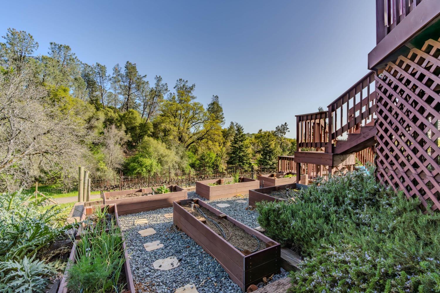 Detail Gallery Image 65 of 89 For 6321 North St, El Dorado,  CA 95623 - 4 Beds | 2/1 Baths