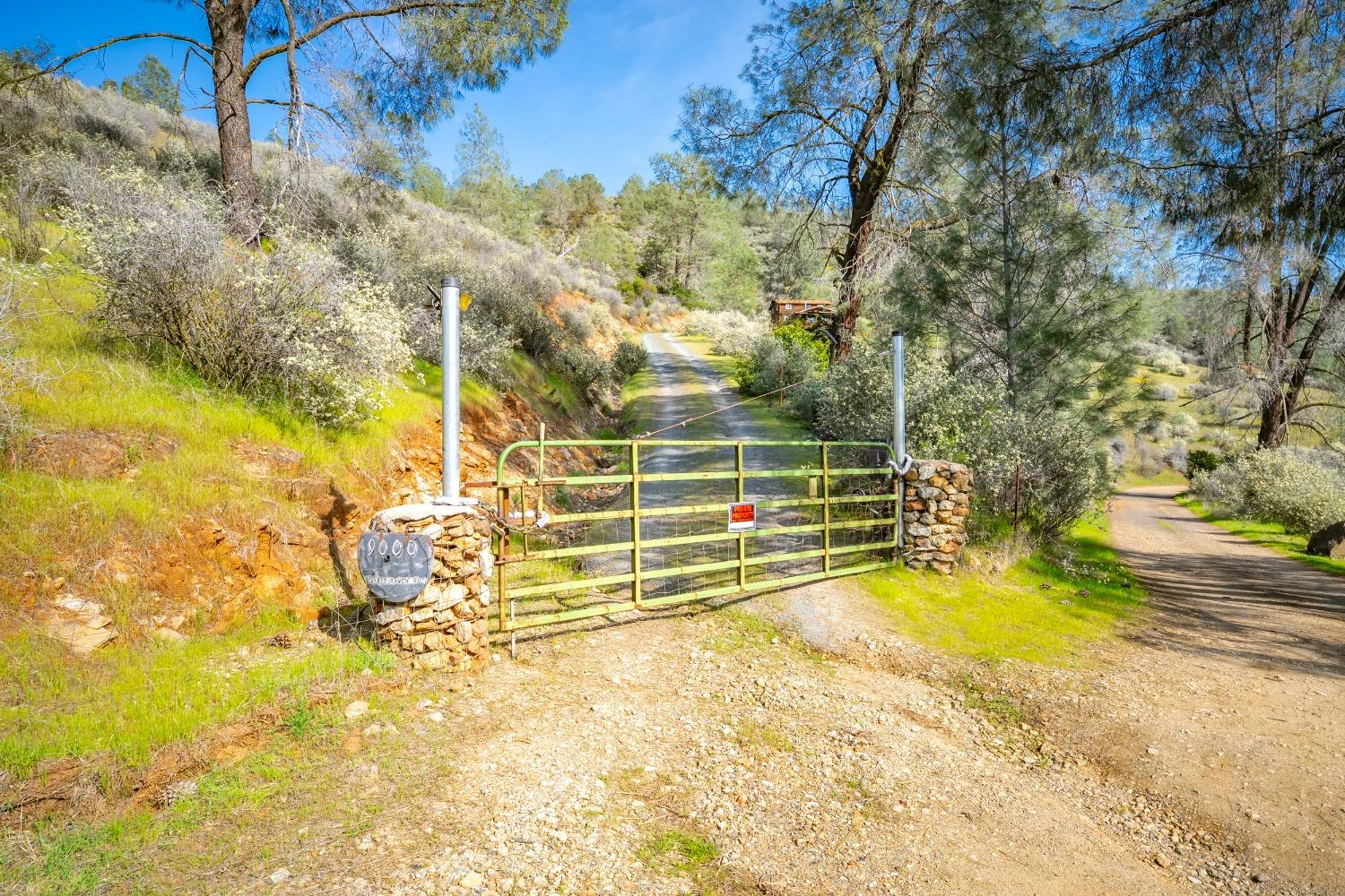 Detail Gallery Image 11 of 71 For 9000 Six Bit Ranch Rd, Chinese Camp,  CA 95309 - 3 Beds | 2 Baths
