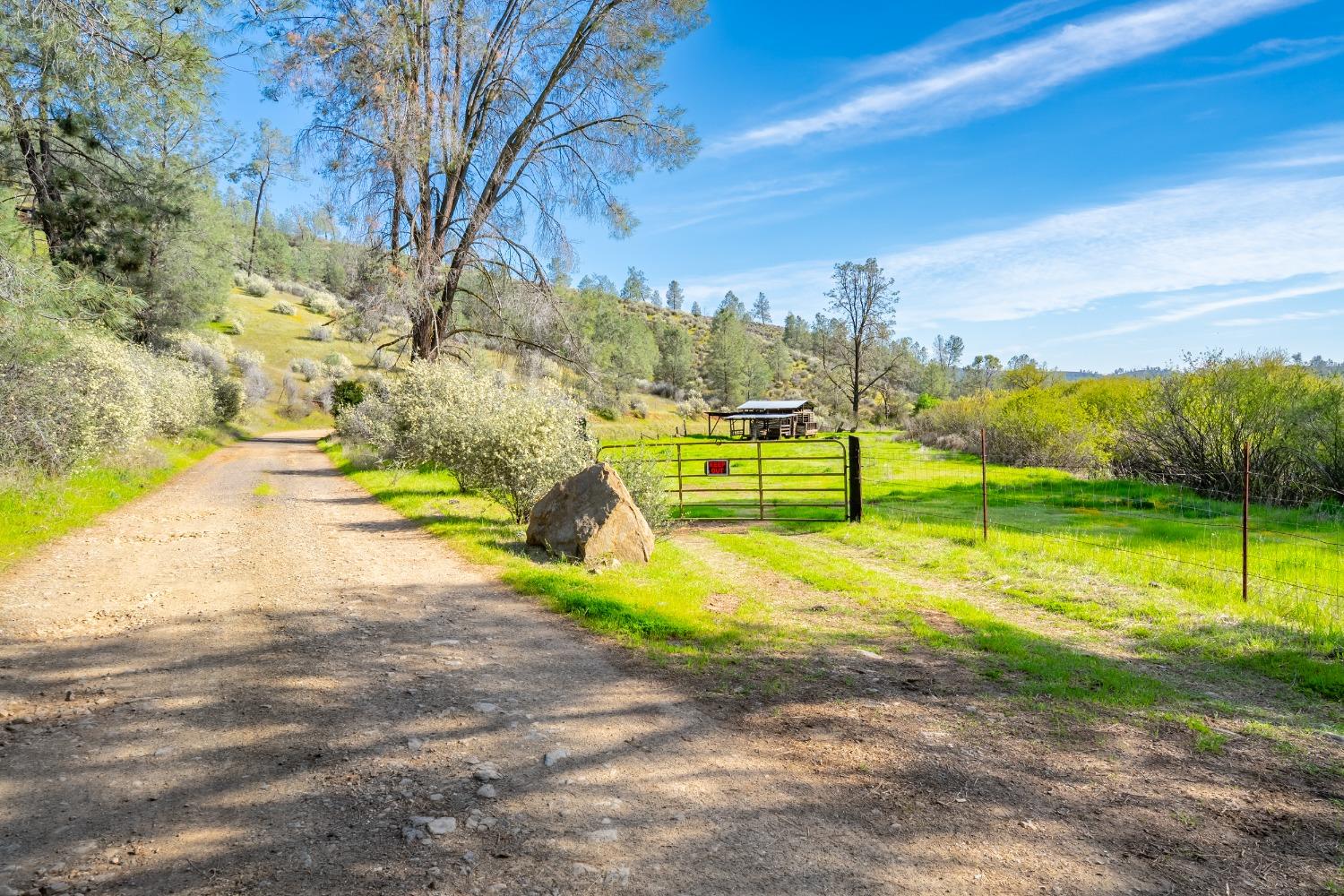 Detail Gallery Image 55 of 71 For 9000 Six Bit Ranch Rd, Chinese Camp,  CA 95309 - 3 Beds | 2 Baths