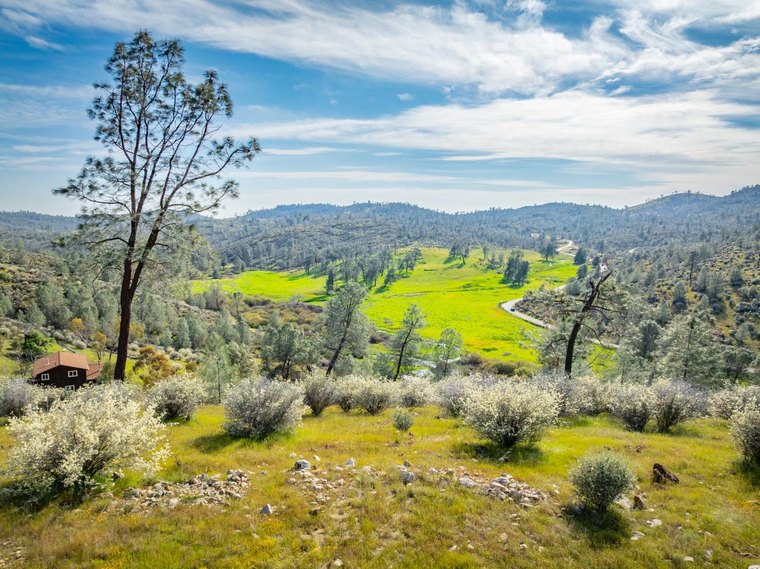 Detail Gallery Image 3 of 71 For 9000 Six Bit Ranch Rd, Chinese Camp,  CA 95309 - 3 Beds | 2 Baths