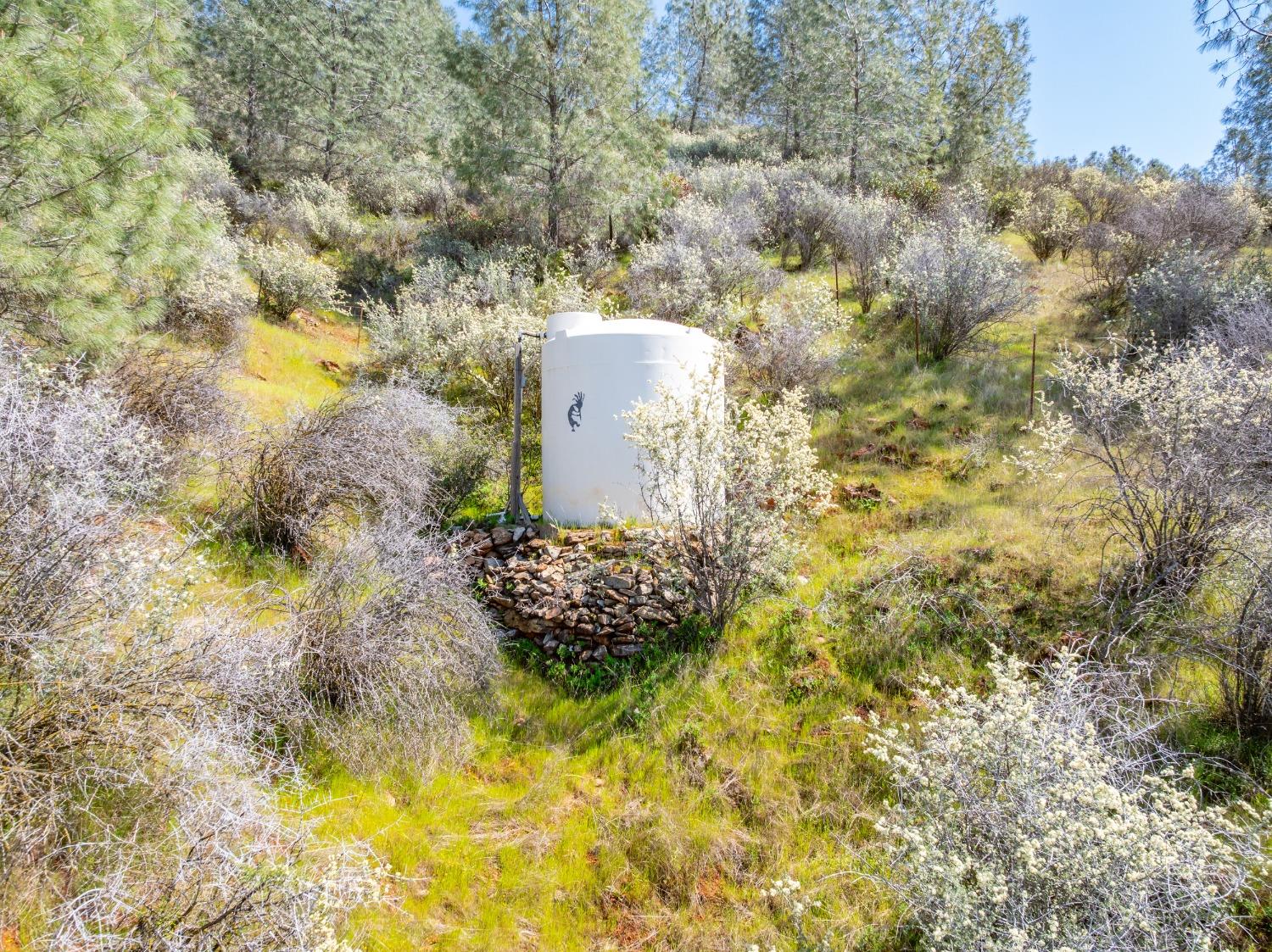 Detail Gallery Image 52 of 71 For 9000 Six Bit Ranch Rd, Chinese Camp,  CA 95309 - 3 Beds | 2 Baths