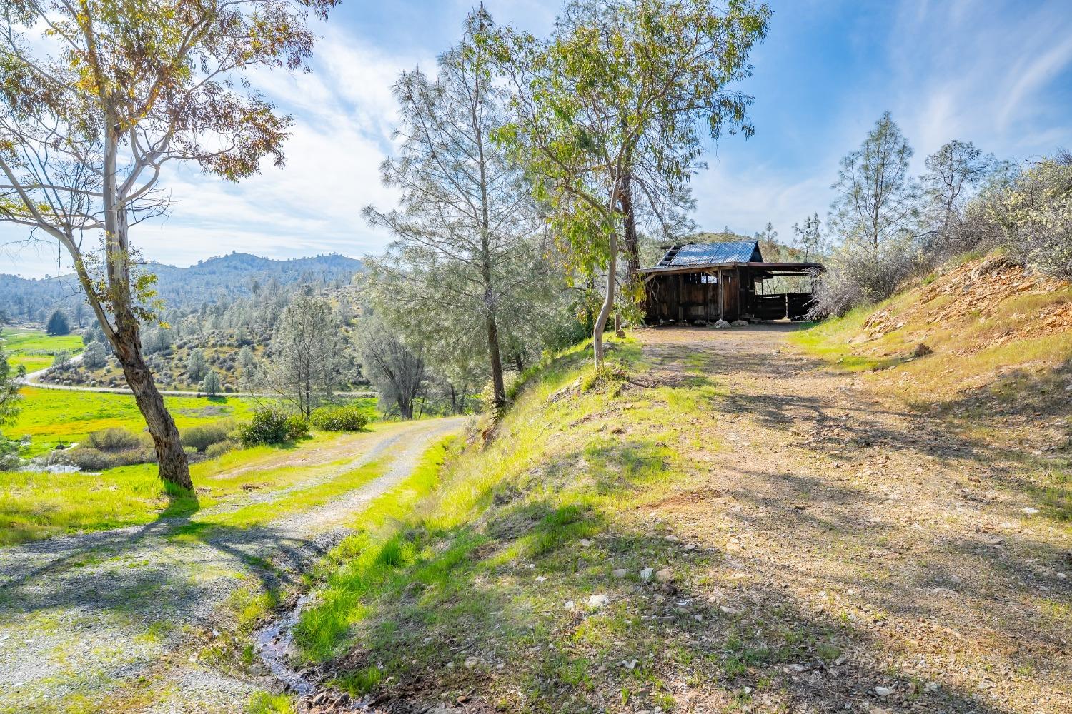 Detail Gallery Image 14 of 71 For 9000 Six Bit Ranch Rd, Chinese Camp,  CA 95309 - 3 Beds | 2 Baths