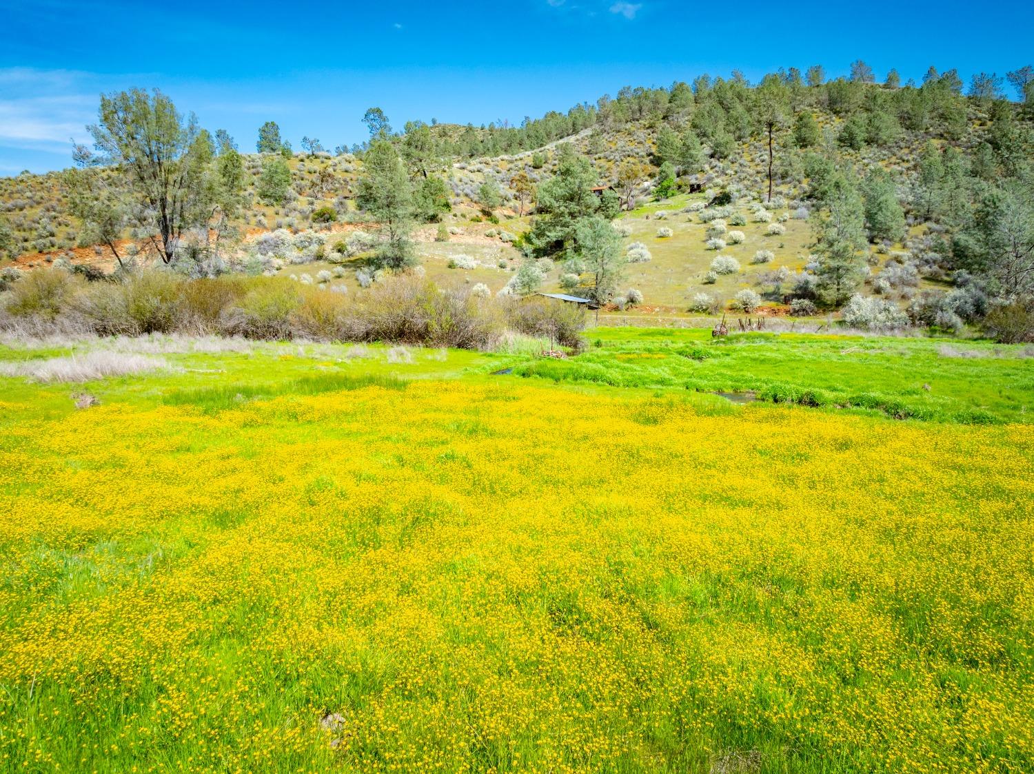 Detail Gallery Image 56 of 71 For 9000 Six Bit Ranch Rd, Chinese Camp,  CA 95309 - 3 Beds | 2 Baths