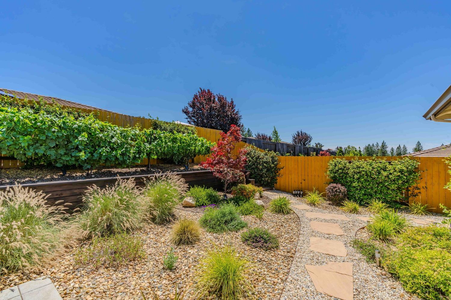 Detail Gallery Image 66 of 77 For 151 Emerald Ln, Jackson,  CA 95642 - 3 Beds | 2 Baths