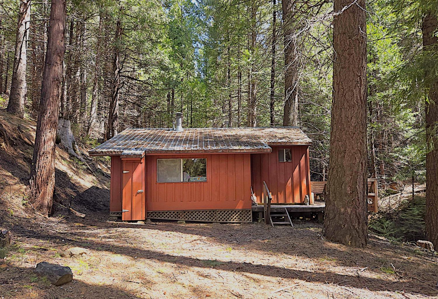 Detail Gallery Image 4 of 27 For 0 Forest Route 7n42, West Point,  CA 95255 - 1 Beds | 1 Baths