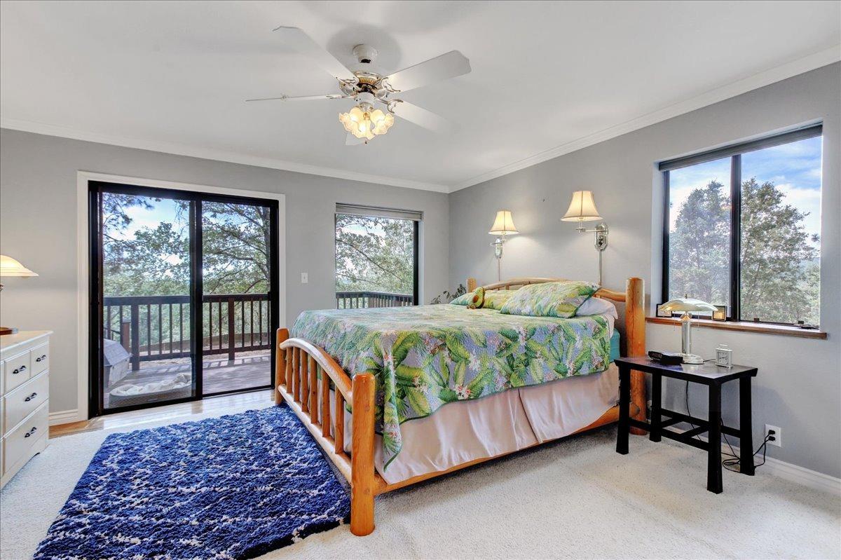 Avelina Way, Grass Valley, California image 13