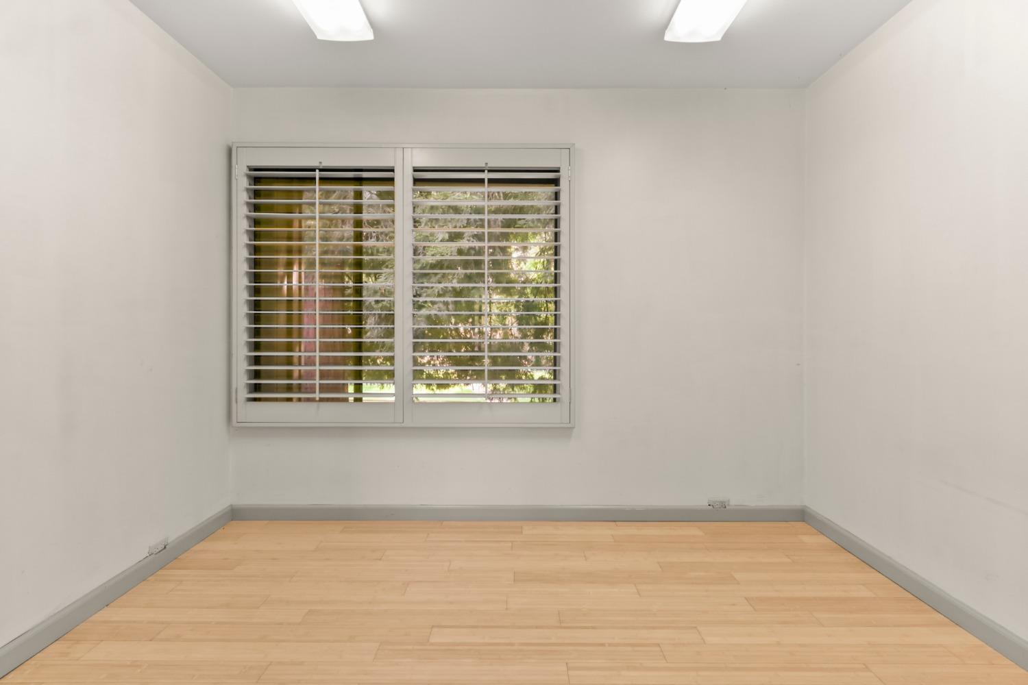 Photo #31: 225023652 Listing: Photo #31