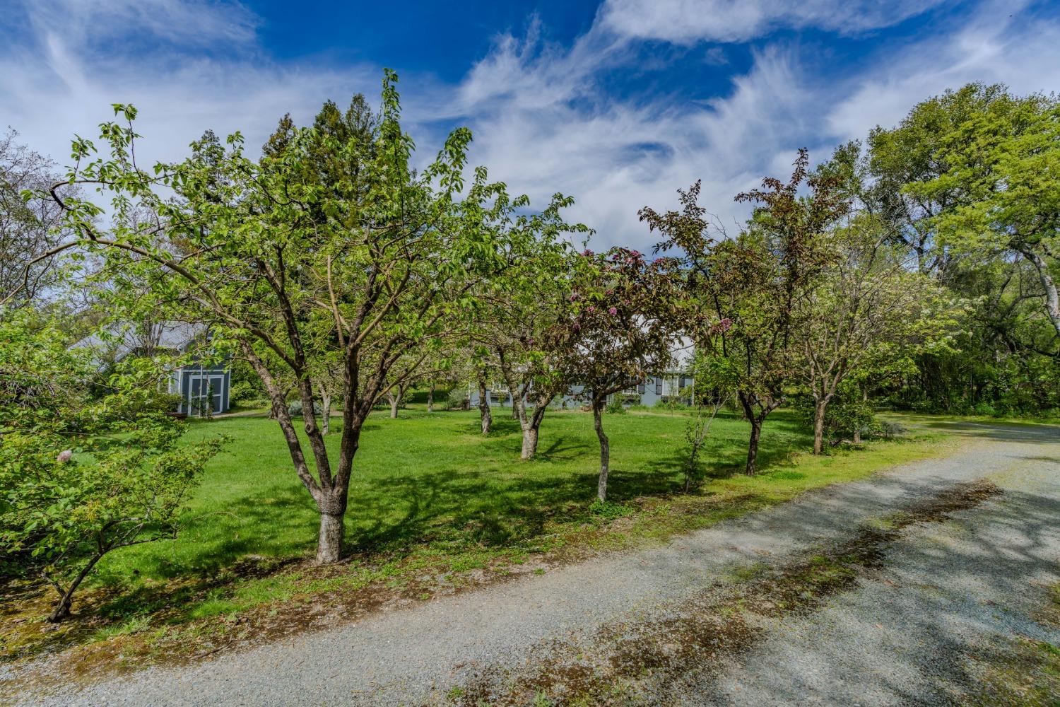 Detail Gallery Image 76 of 76 For 10690 White Oak Rd, Plymouth,  CA 95669 - 2 Beds | 2 Baths