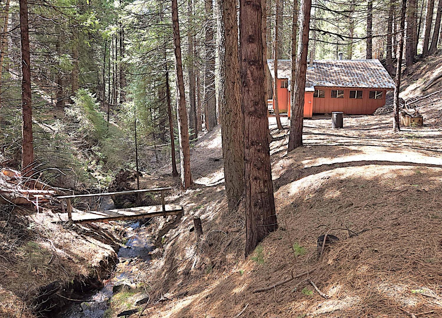 Detail Gallery Image 1 of 27 For 0 Forest Route 7n42, West Point,  CA 95255 - 1 Beds | 1 Baths