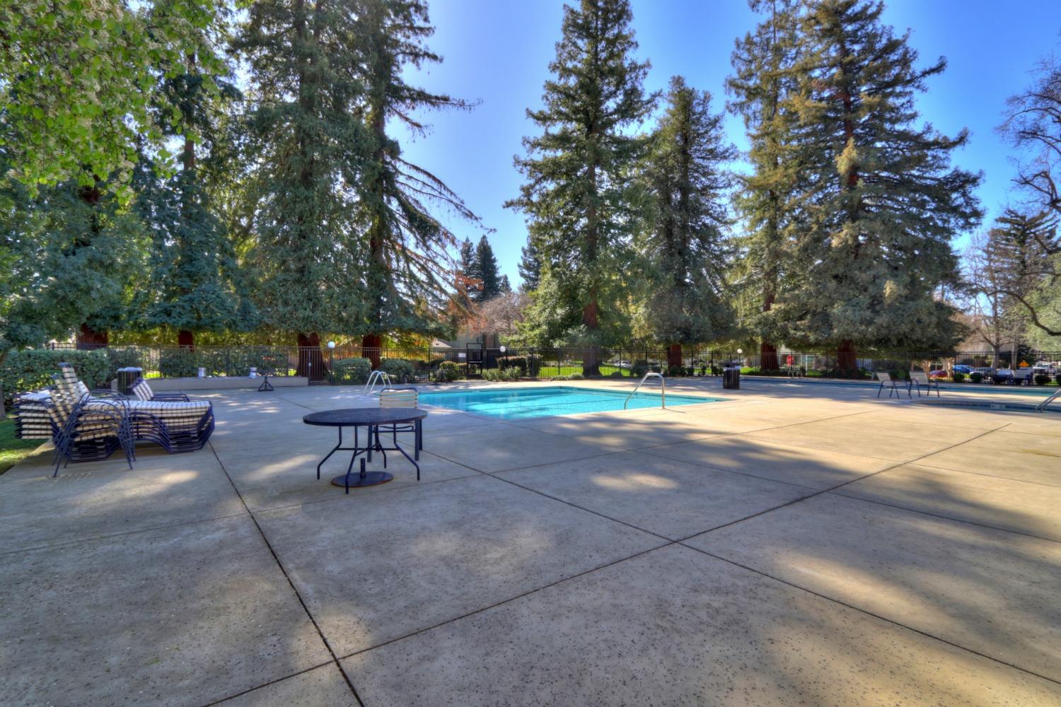 Photo #46: 225023652 Listing: Photo #46