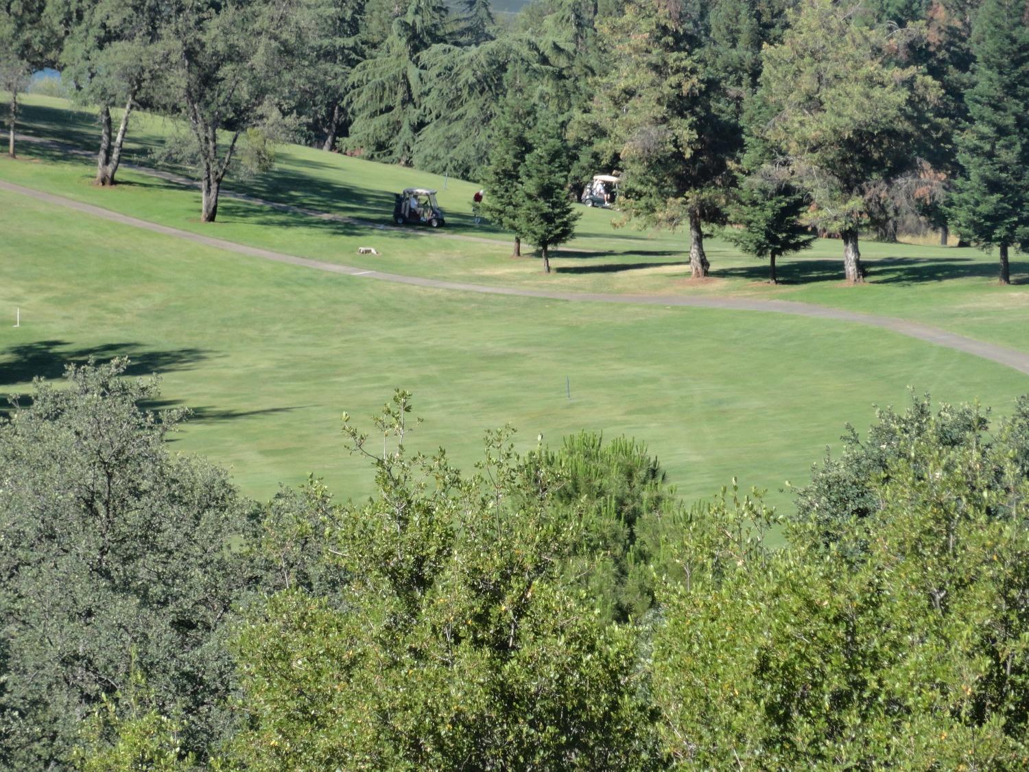 Sunset Ridge Drive, Auburn, California image 37