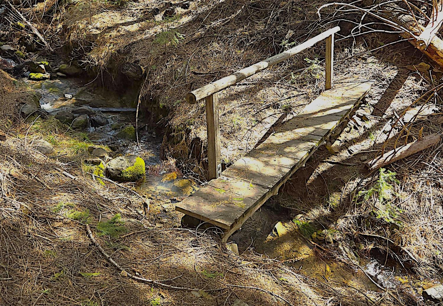 Detail Gallery Image 15 of 27 For 0 Forest Route 7n42, West Point,  CA 95255 - 1 Beds | 1 Baths