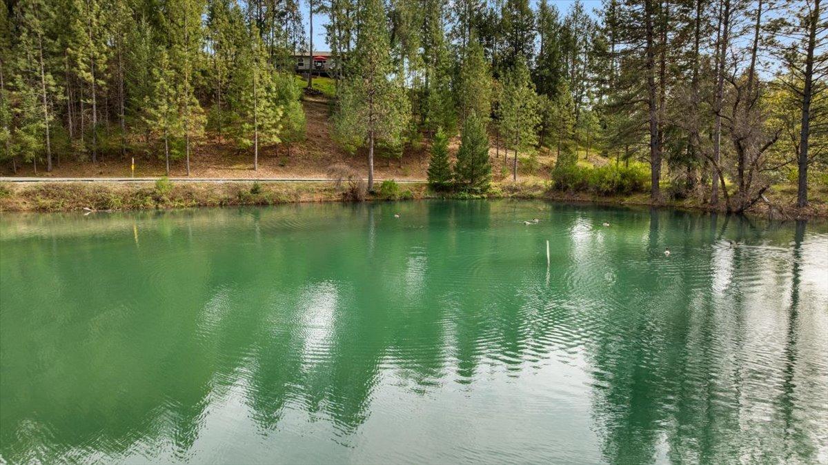 Detail Gallery Image 59 of 61 For 22770 Pine Lake, Colfax,  CA 95713 - 4 Beds | 3/1 Baths