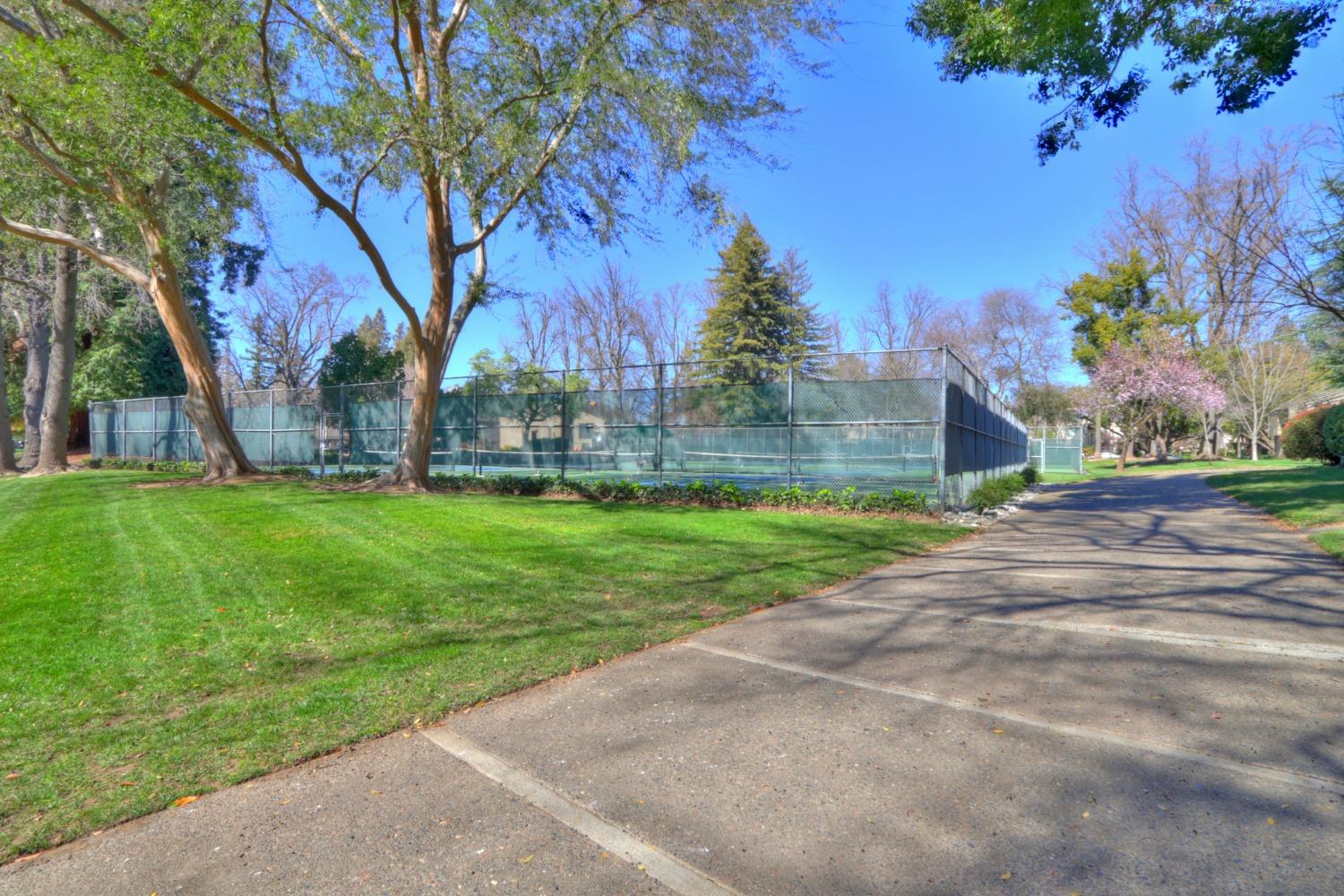 Photo #50: 225023652 Listing: Photo #50
