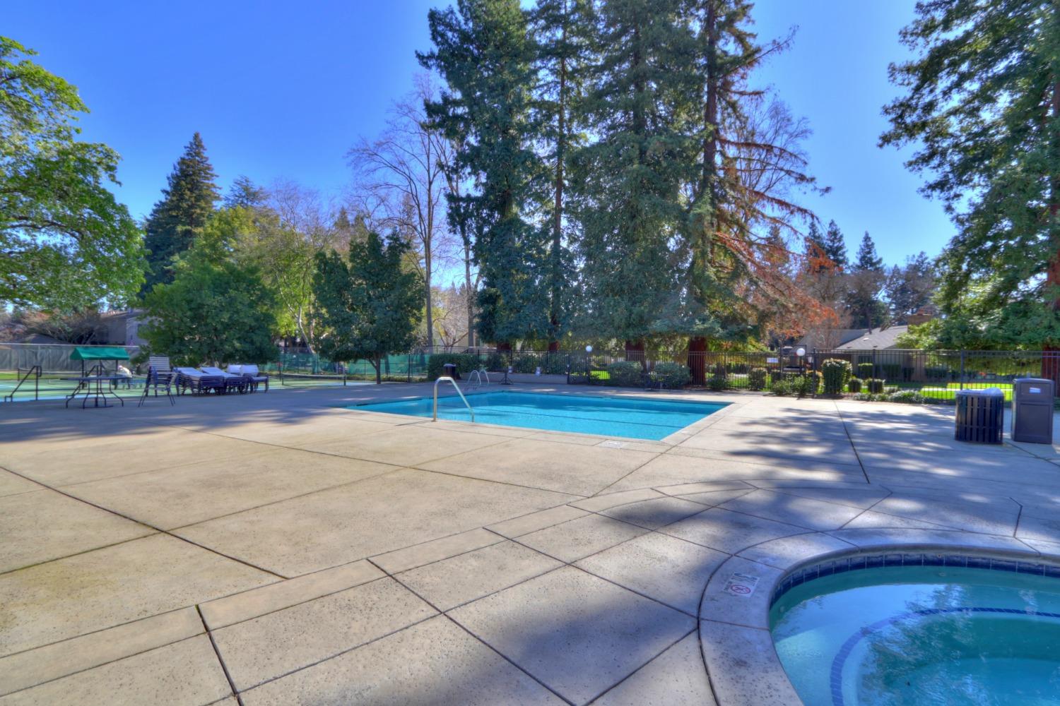 Photo #47: 225023652 Listing: Photo #47