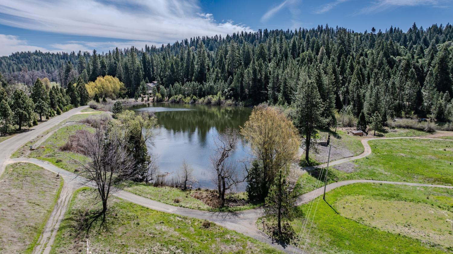 Detail Gallery Image 69 of 69 For 26158 Parkwood Drive East, Pioneer,  CA 95666 - 4 Beds | 3/1 Baths