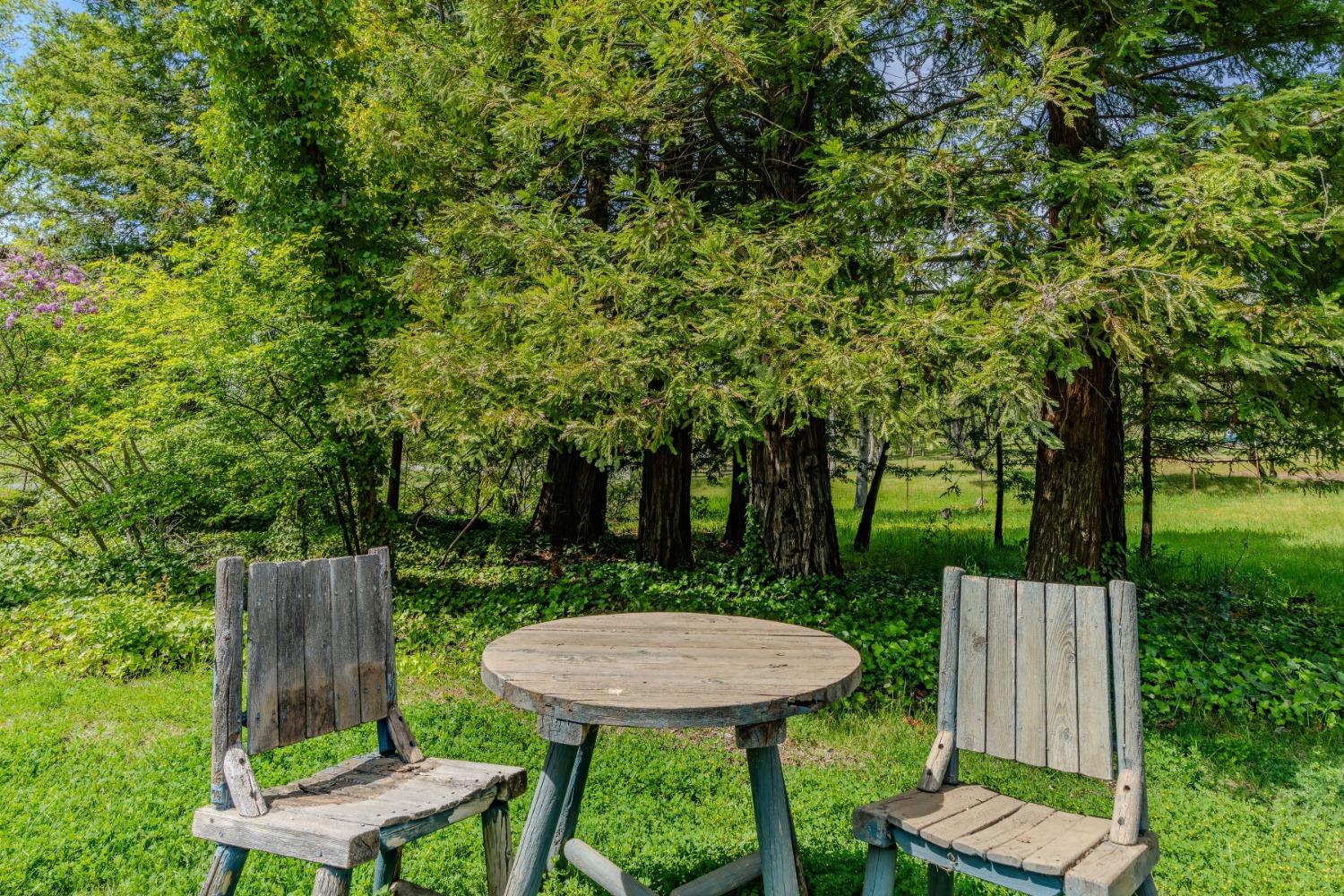 Detail Gallery Image 68 of 76 For 10690 White Oak Rd, Plymouth,  CA 95669 - 2 Beds | 2 Baths