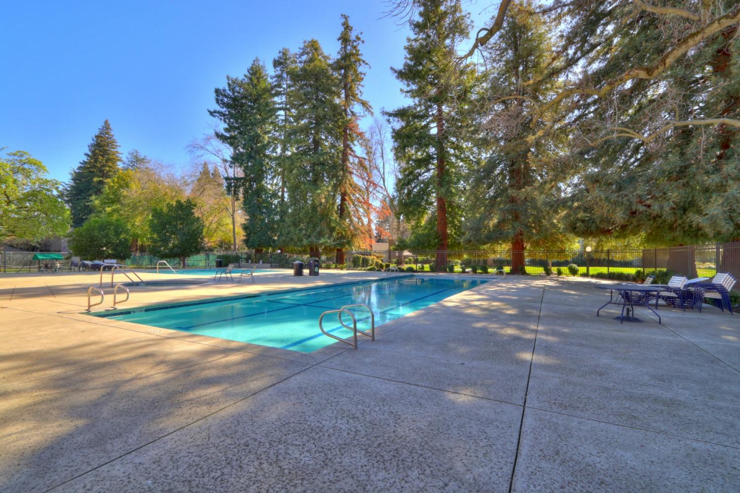 Photo #48: 225023652 Listing: Photo #48