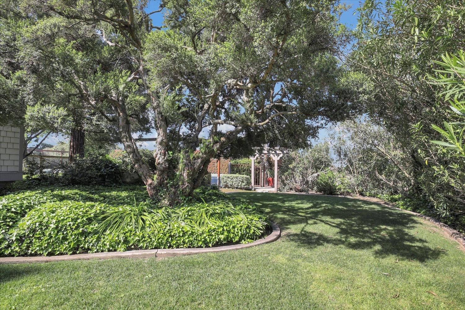 Detail Gallery Image 8 of 98 For 6596 E Realty Rd, Lodi,  CA 95240 - 4 Beds | 3/1 Baths