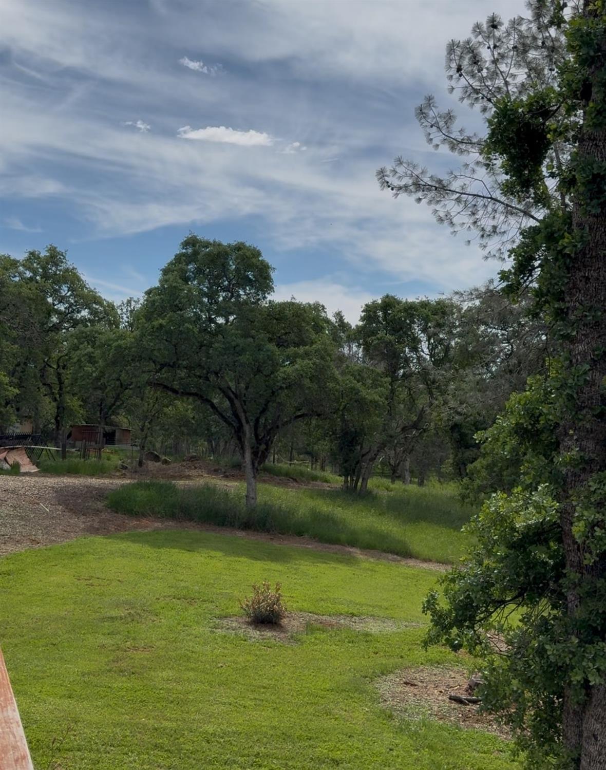 Detail Gallery Image 52 of 61 For 51 Woodvine Lane Ln, Bangor,  CA 95901 - 3 Beds | 2 Baths