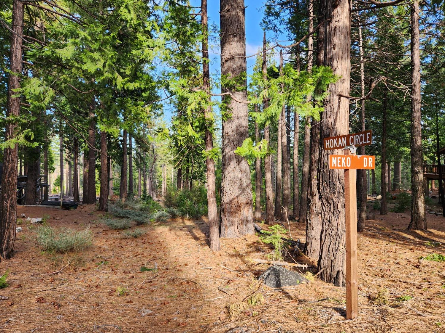 Meko Drive, Camp Connell, California image 3