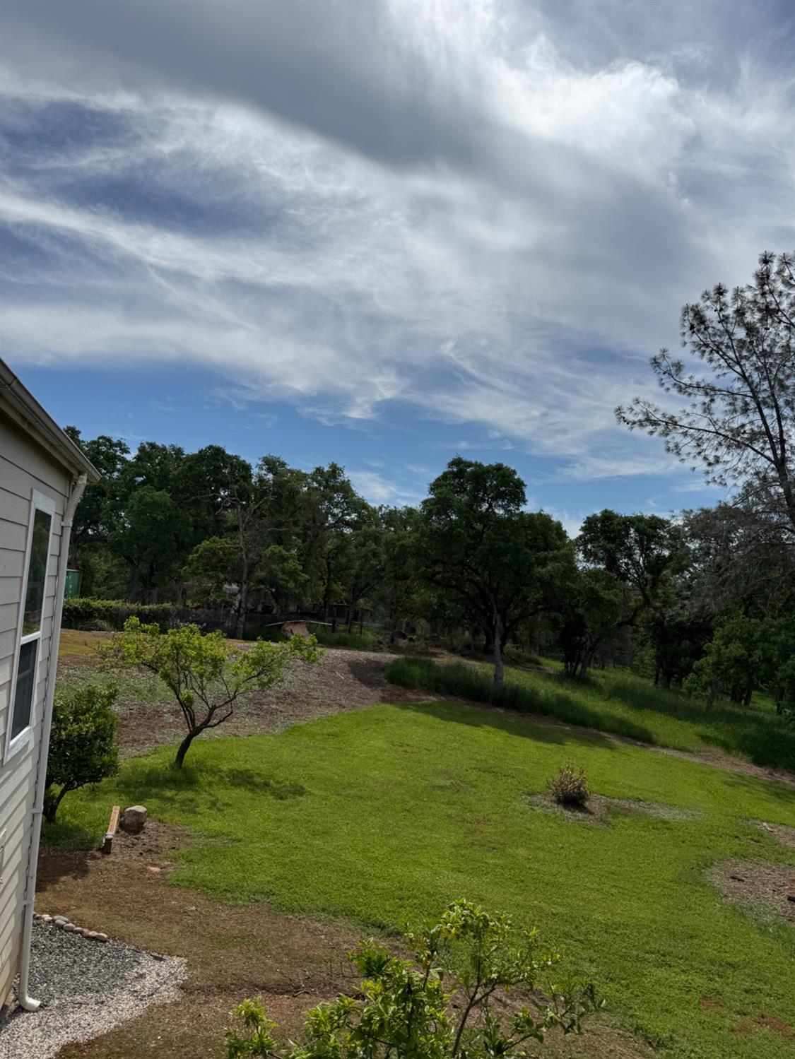 Detail Gallery Image 57 of 61 For 51 Woodvine Lane Ln, Bangor,  CA 95901 - 3 Beds | 2 Baths