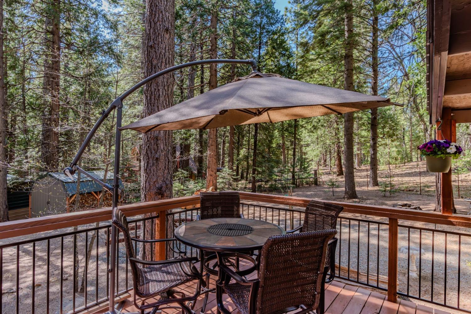 Detail Gallery Image 57 of 62 For 28605 Rolling Hills Rd, Pioneer,  CA 95666 - 2 Beds | 1/1 Baths